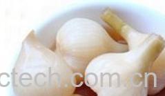 果蔬百科腌制咸蒜-0