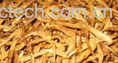 果蔬百科黄花菜-0