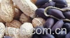 果蔬百科黑花生-0