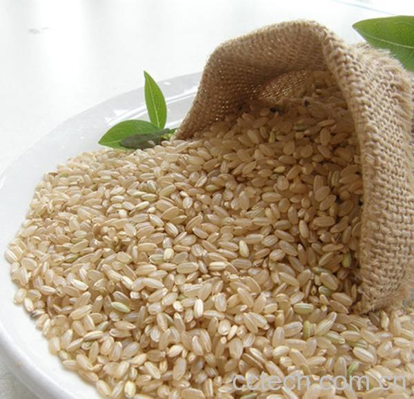 果蔬百科糙米-0