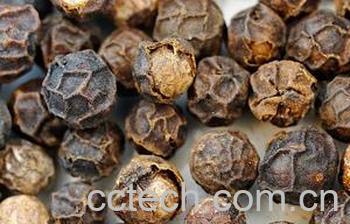 果蔬百科胡椒-0