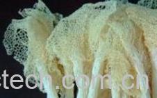 果蔬百科竹荪-0