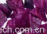 果蔬百科紫红薯-0