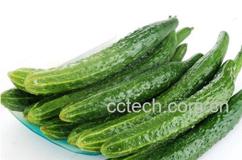 果蔬百科黄瓜-0
