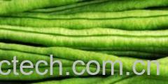 果蔬百科长豆角-0