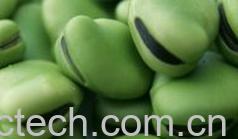 果蔬百科蚕豆-0