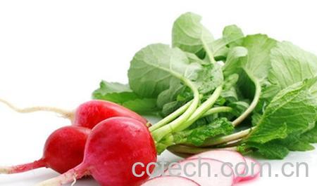 果蔬百科红萝卜-0