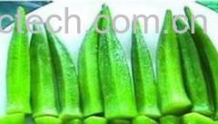 果蔬百科黄秋葵的功效与作用-0