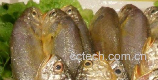 果蔬百科小黄花鱼的家常做法-0