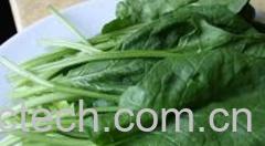 果蔬百科菠菜不能和什么一起吃-0