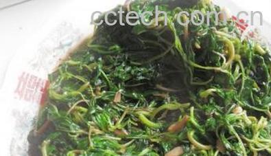 果蔬百科 笕菜怎么吃 笕菜的做法步骤 -0