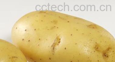 果蔬百科土豆汁的功效和作用-0