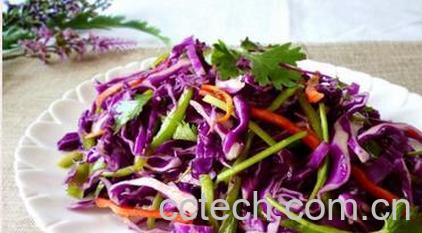 果蔬百科凉拌紫包菜的方法步骤教程 -0