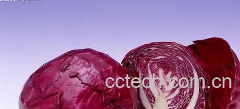 果蔬百科紫甘蓝的营养价值和功效 -0