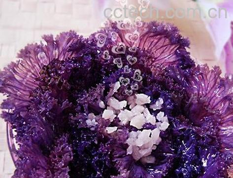 果蔬百科 羽衣甘蓝图片和做法 -0