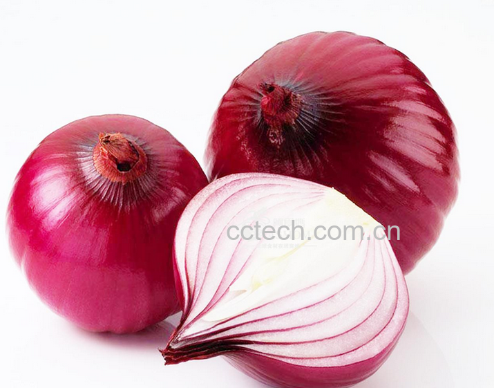 果蔬百科洋葱的功效和作用-0