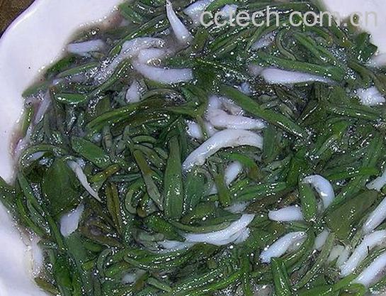 果蔬百科莼菜图片和吃法 -0