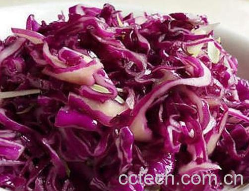 果蔬百科紫甘蓝怎么做好吃 紫甘蓝的做法大全 -0