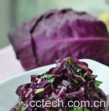 果蔬百科凉拌紫甘蓝的做法步骤 -0