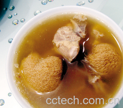 果蔬百科猴头菇的功效和作用-0