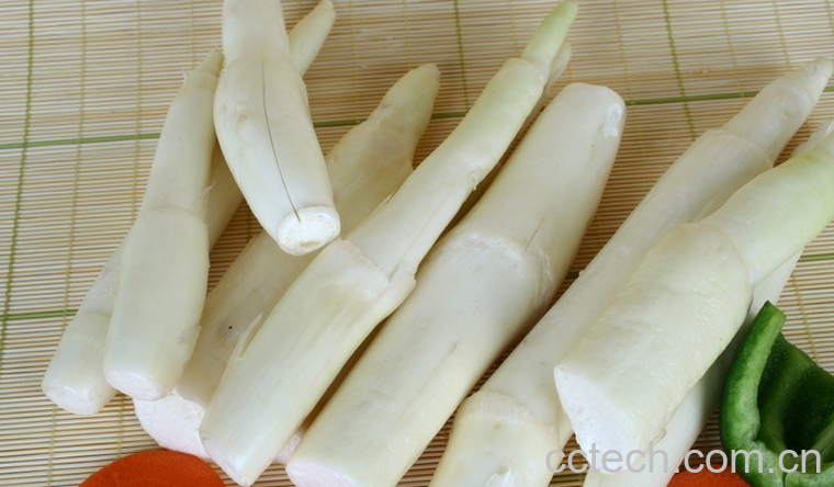 果蔬百科 茭白的营养价值和功效-0