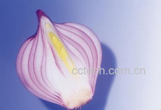 果蔬百科洋葱延年益寿的功效与作用-0