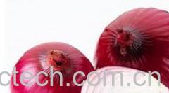 果蔬百科洋葱-0