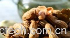 果蔬百科花生-0