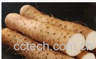 果蔬百科 山药的功效与作用 -0