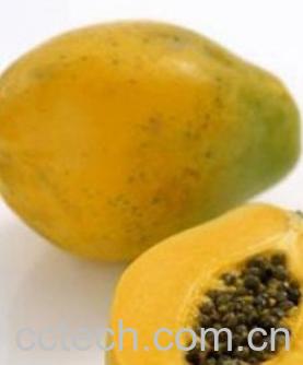 果蔬百科经常吃木瓜有什么好处-0