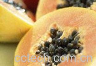 果蔬百科经常吃木瓜有什么好处-2