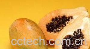 果蔬百科木瓜-0