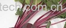 果蔬百科红菜头是什么 红菜头的做法-0