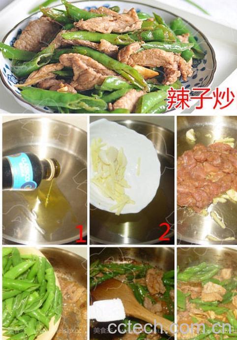 果蔬百科青椒炒肉-0