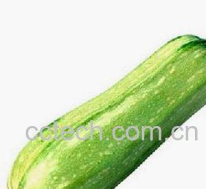 果蔬百科角瓜的家常做法大全-0