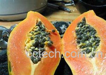 果蔬百科木瓜的营养价值 木瓜到底有没有丰胸效果-0