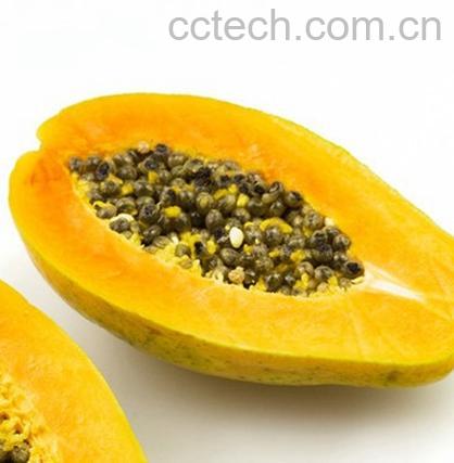 果蔬百科木瓜的营养价值有多高-0