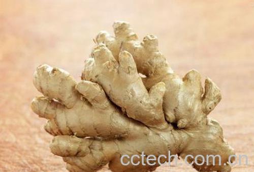 果蔬百科生姜对脱发的功效-0