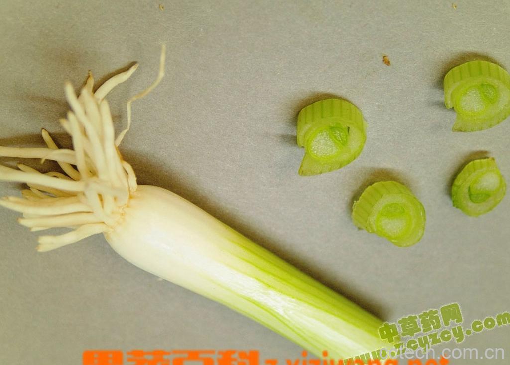 果蔬百科葱白-0