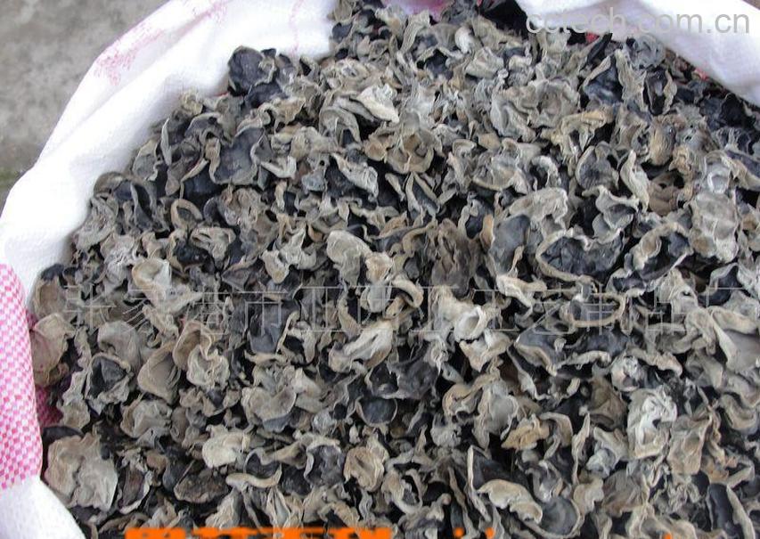 果蔬百科木耳功效-0