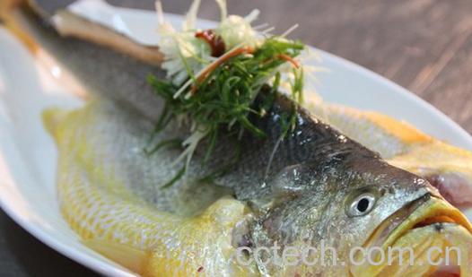 果蔬百科清蒸黄鱼-0