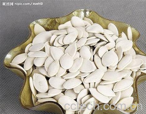 果蔬百科南瓜子-0