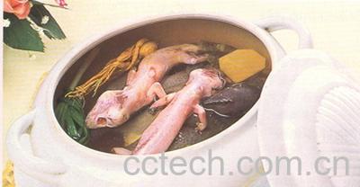 果蔬百科蛤蚧的功效与作用-0