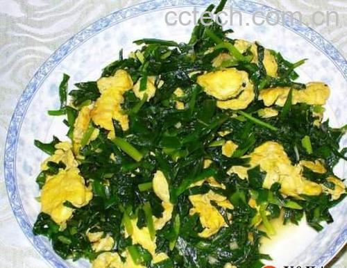 果蔬百科韭菜的功效-0