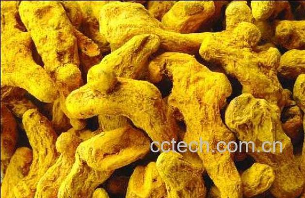 果蔬百科黄姜粉-0