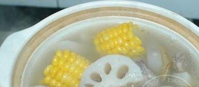 果蔬百科玉米莲藕排骨汤-0