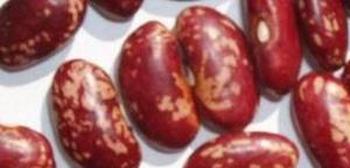 果蔬百科芸豆的功效与作用-0