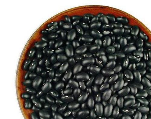果蔬百科黑豆的功效与作用-0
