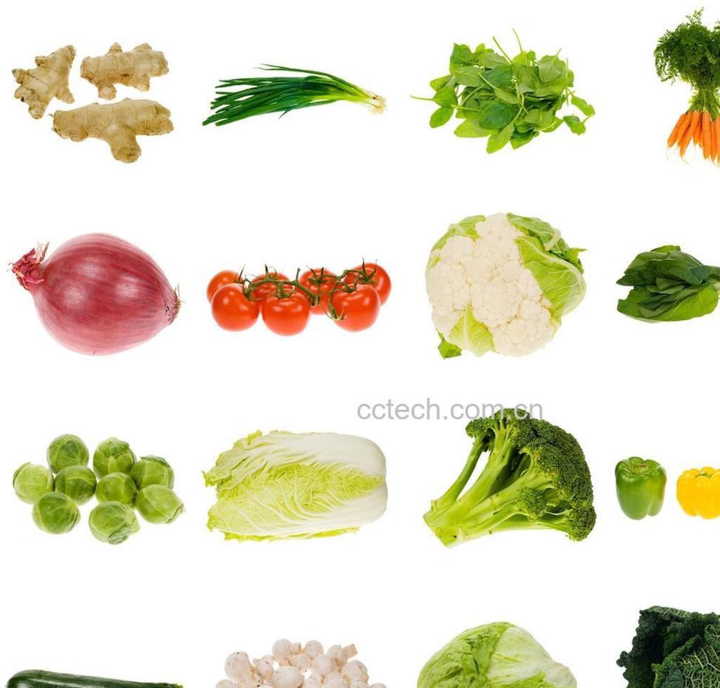 果蔬百科根茎类蔬菜图-0