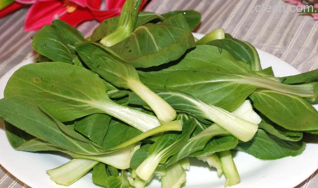 果蔬百科小青菜的营养-0